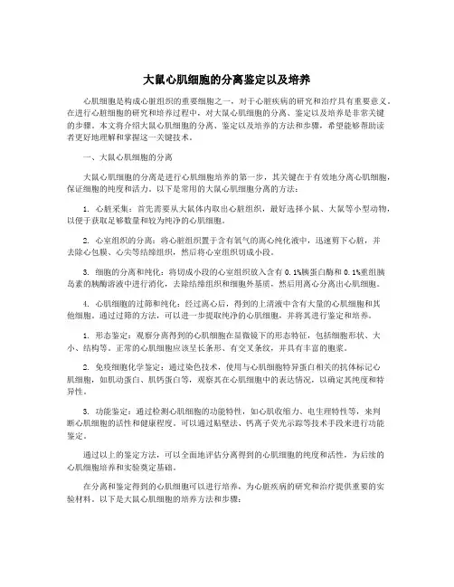 大鼠心肌细胞的分离鉴定以及培养