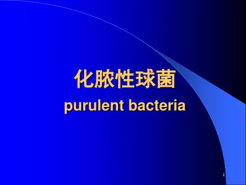 微生物学--球菌1共42页文档