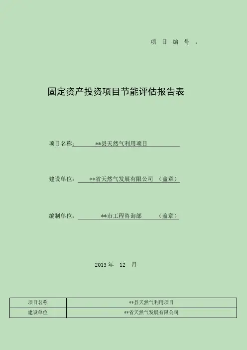 天然气利用项目节能评估报告