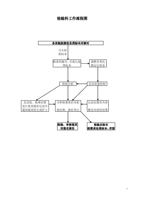 检验科各种流程图2