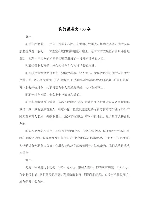 狗的说明文400字