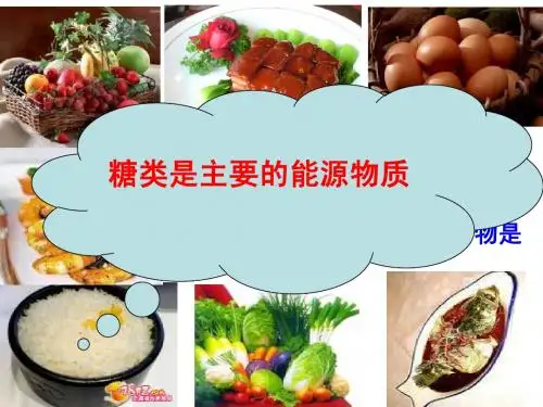 人教版教学课件第四节 糖类和脂质(公开课)