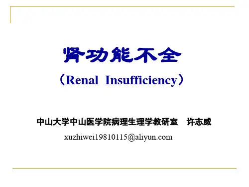 病理生理15-肾功能不全