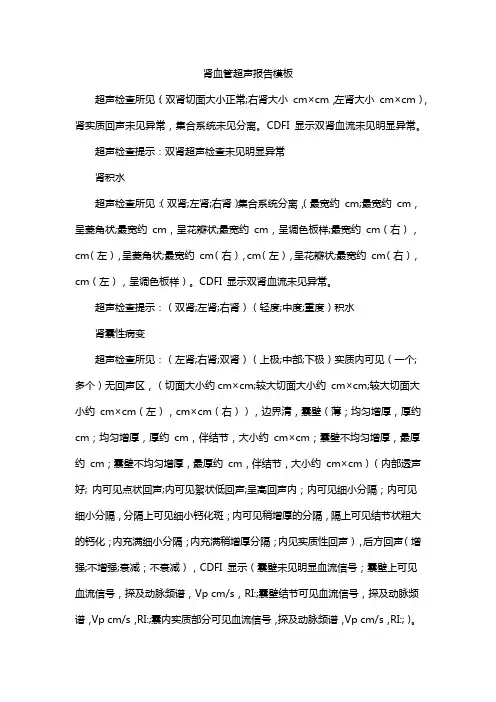 肾血管超声报告模板