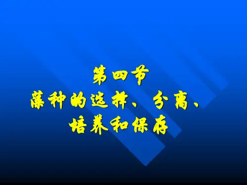 5第4节藻种分离和保存