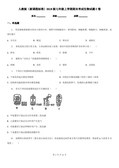 人教版(新课程标准)2019版七年级上学期期末考试生物试题C卷