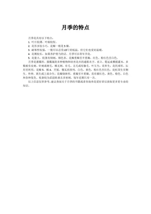 月季的特点