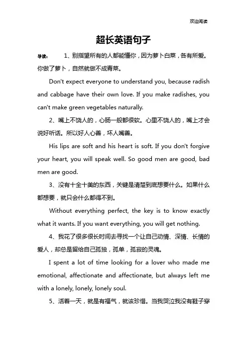 超长英语句子