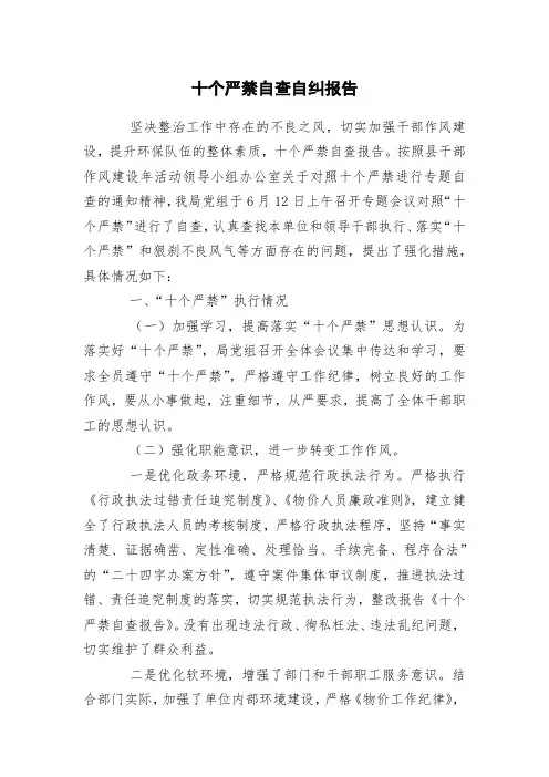 十个严禁自查自纠报告