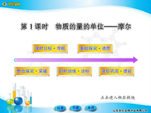 世纪金榜必修1课件1.2.1高中化学