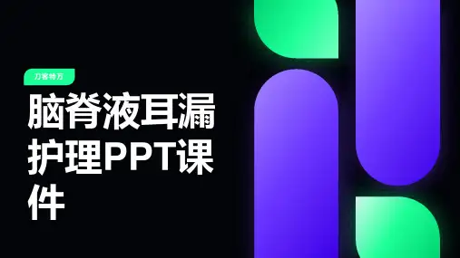 脑脊液耳漏护理PPT课件
