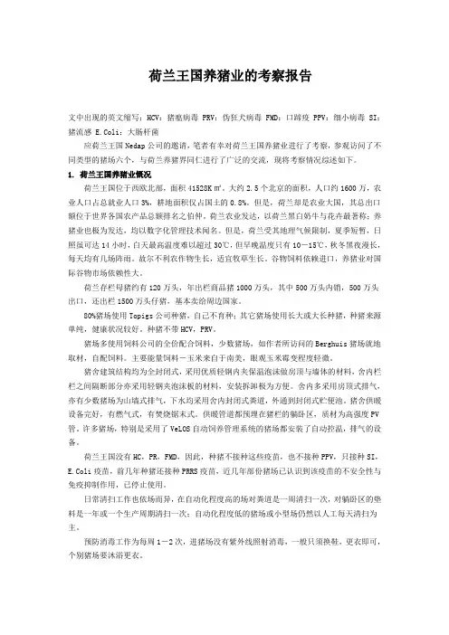 荷兰王国养猪业的考察报告