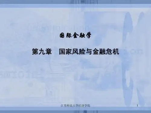 9  国家风险与金危机