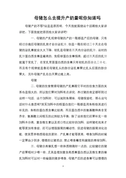 母猪怎么去提升产奶量呢你知道吗