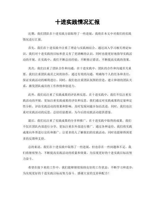 十进实践情况汇报