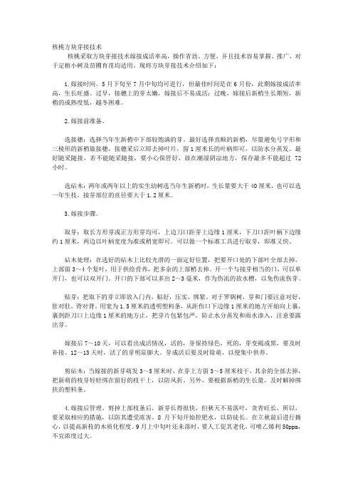 核桃方块芽接技术