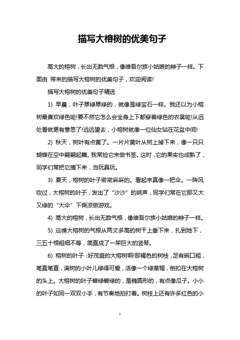 描写大榕树的优美句子
