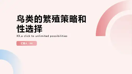 鸟类的繁殖策略和性选择教学
