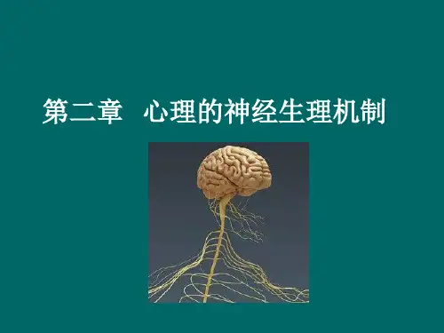 普通心理学 心理的神经生理机制