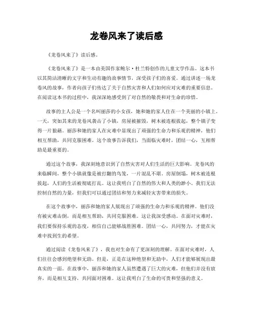 龙卷风来了读后感