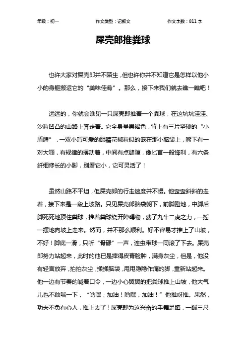 屎壳郎推粪球作文【初中初一800字】