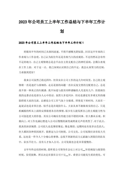 2023年公司员工上半年工作总结与下半年工作计划