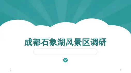石象湖调研分析-文档资料