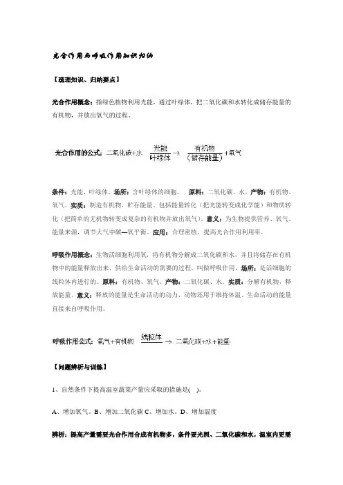 光合作用与呼吸作用知识归纳