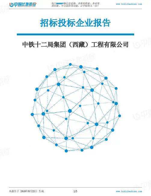 中铁十二局集团(西藏)工程有限公司_中标190922