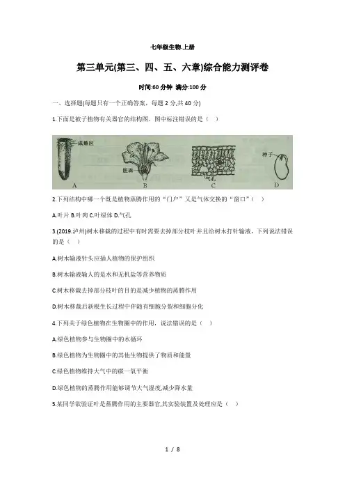 人教版七年级生物上册第三单元生物圈中的绿色植物(第三、四、五、六章)综合能力测评卷
