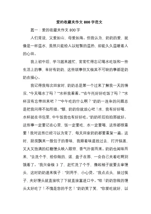 爱的收藏夹作文800字范文
