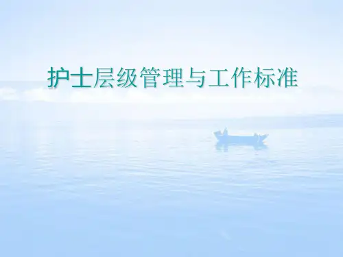 护士层级管理与工作标准PPT课件