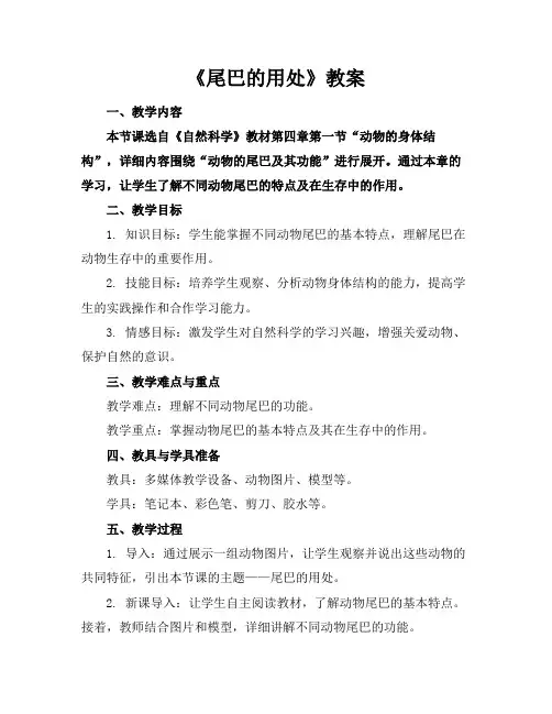 《尾巴的用处》教案