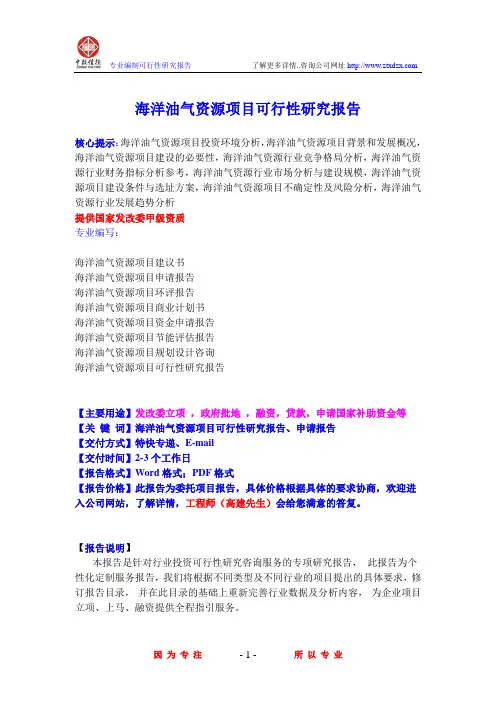 海洋油气资源项目可行性研究报告