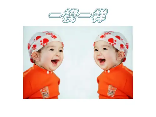 四年级上册美术课件-第十二课 一模不一样 ︳湘美版(2014秋) (共24张PPT)