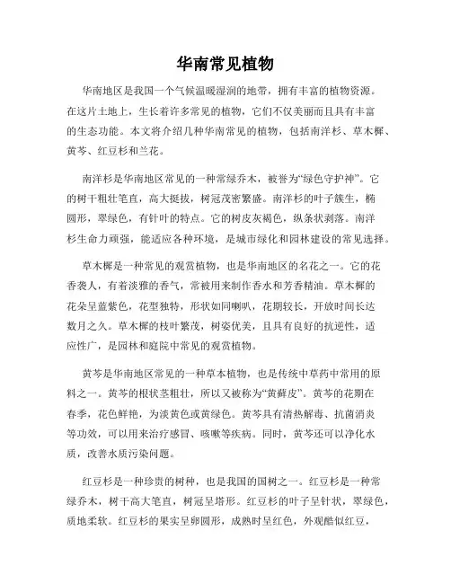 华南常见植物