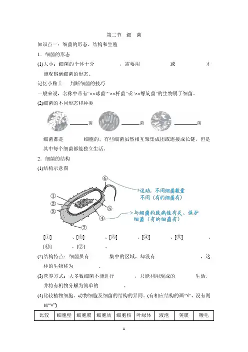 人教版七年级上册生物第二单元第三章第二节知识点总结