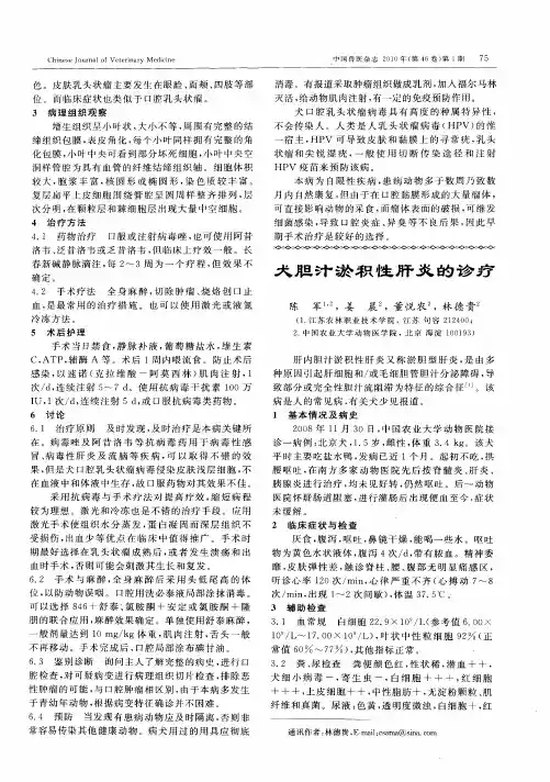 犬胆汁淤积性肝炎的诊疗