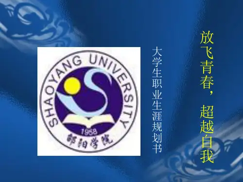 电气自动化的职业生涯规划页PPT文档