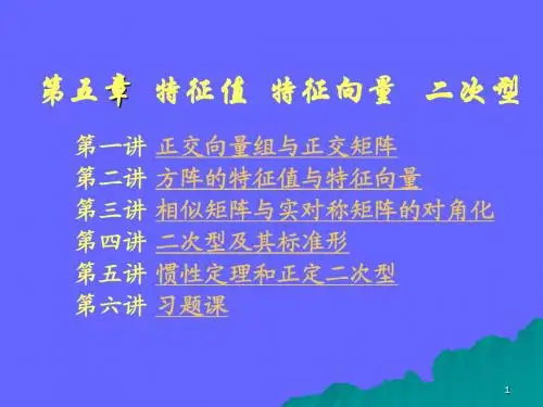 线性代数5