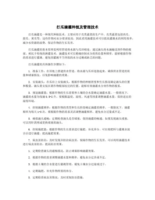 打瓜滴灌种植及管理技术
