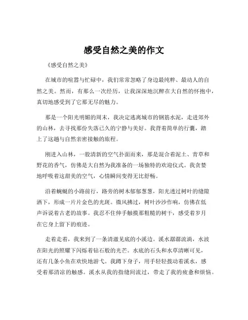 感受自然之美的作文