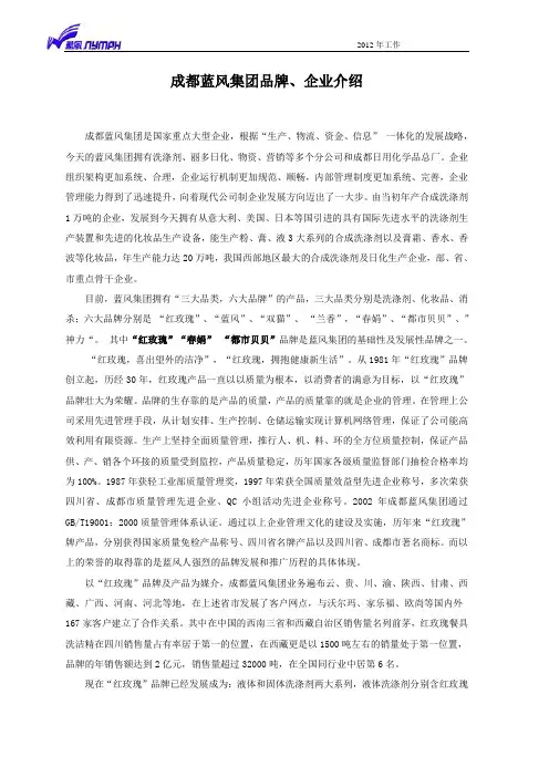 成都蓝风集团品牌、企业介绍
