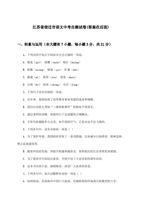 江苏省宿迁市语文中考试卷及解答参考