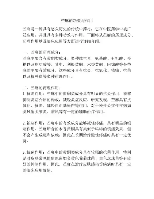 苎麻的功效与作用