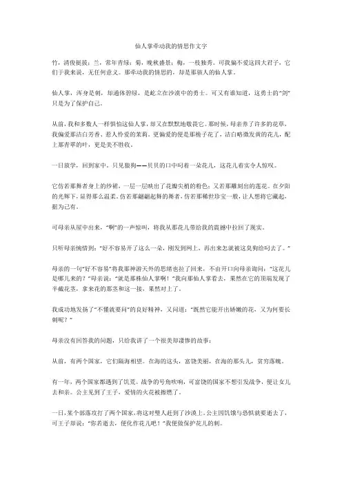 仙人掌牵动我的情思作文800字优选作文