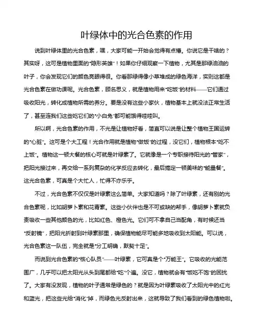 叶绿体中的光合色素的作用