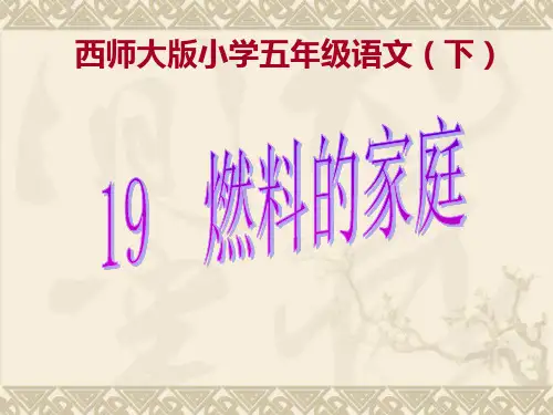 《燃料的家庭》课件