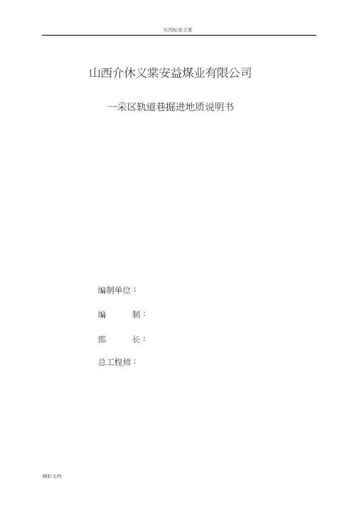 12062掘进地质说明书