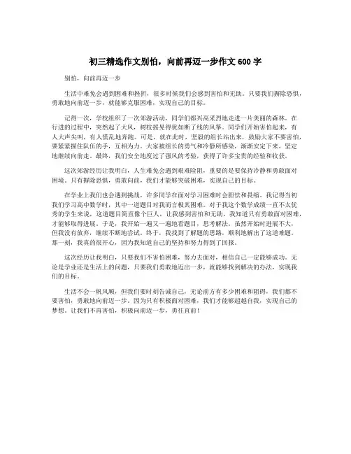 初三精选作文别怕,向前再迈一步作文600字